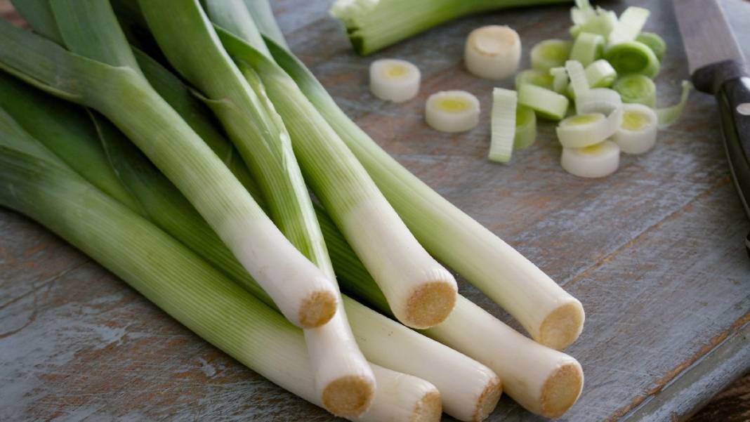 Bağışıklık Sistemini Güçlendirmek İsteyenler Dikkat! Topraktan Çıkıyor, Hastalıklara Karşı Savaş Açıyor 8